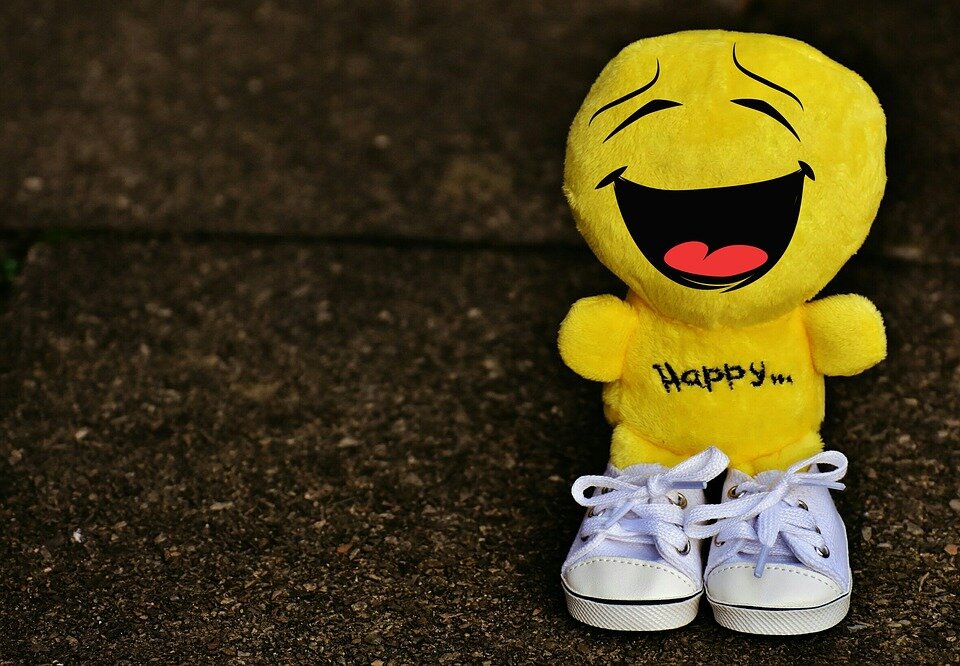 https://cdn.pixabay.com/photo/2016/12/01/22/16/smiley-1876329_960_720.jpg