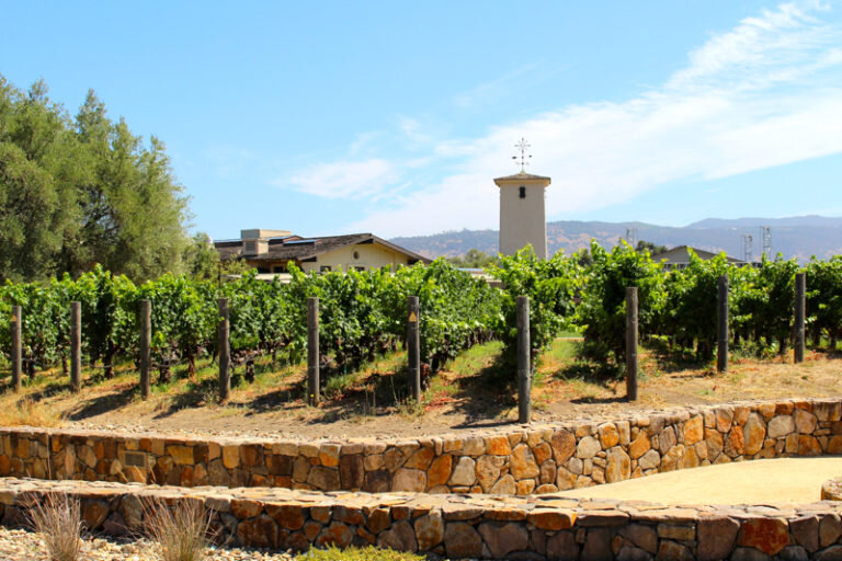 https://perfectpopsf.com/wp-content/uploads/2016/09/Robert-Mondavi-Winery-Tour-768x512.jpg