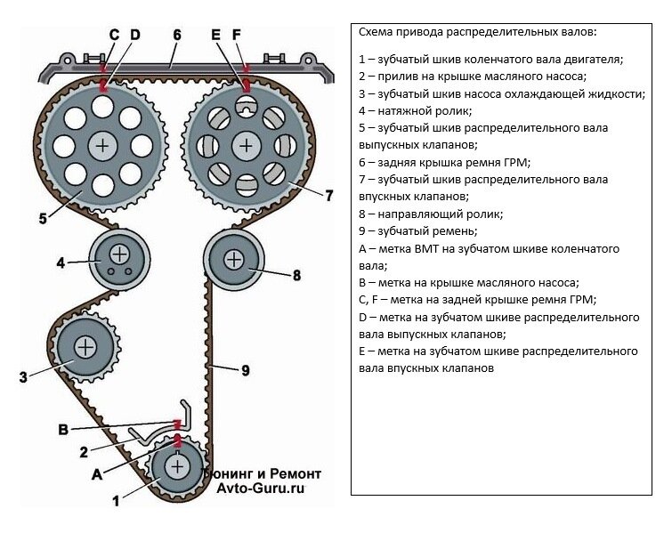 Картинка из свободного доступа интернета.