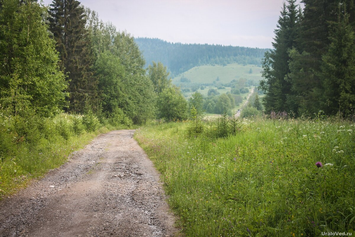 Во время нашей летней поездки по Пермскому краю одним из самых приятных и запоминающихся мест стало урочище Ивака.  Когда лес у дороги расступается, открывается великолепная панорама.-2