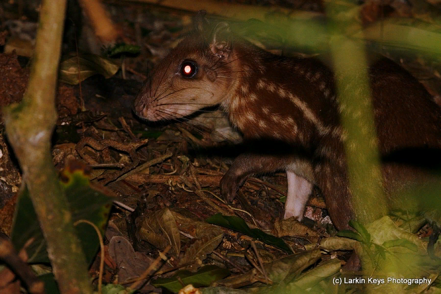 Сожрёт твою душу и даже не подавится.