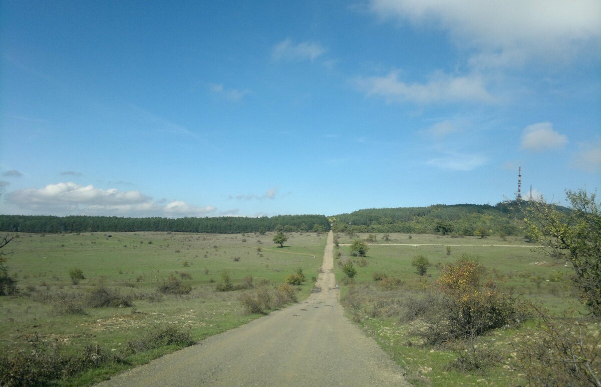 Дорога за грибами