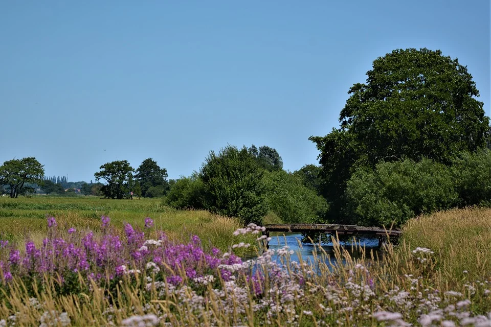  Источник: Pixabay.com. Пользователь :  InsaPictures