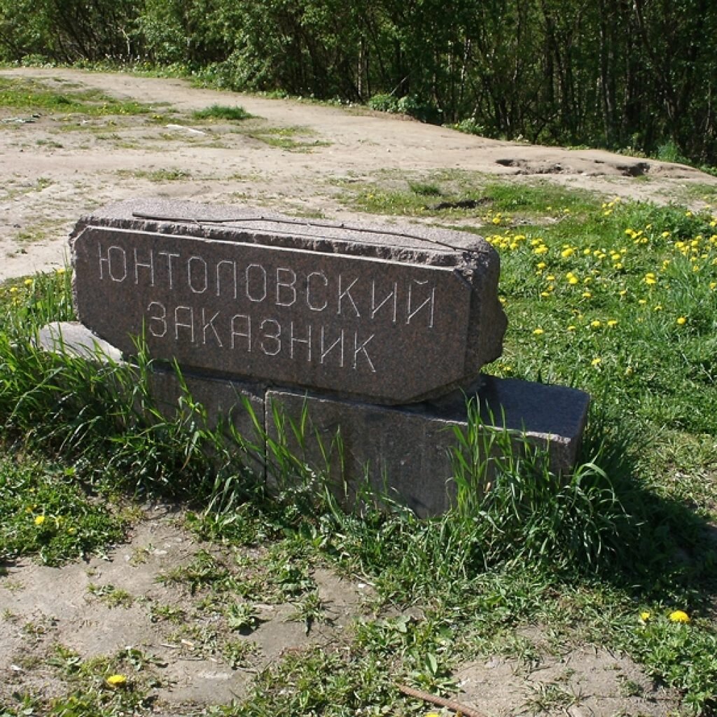 юнтоловский парк в приморском районе