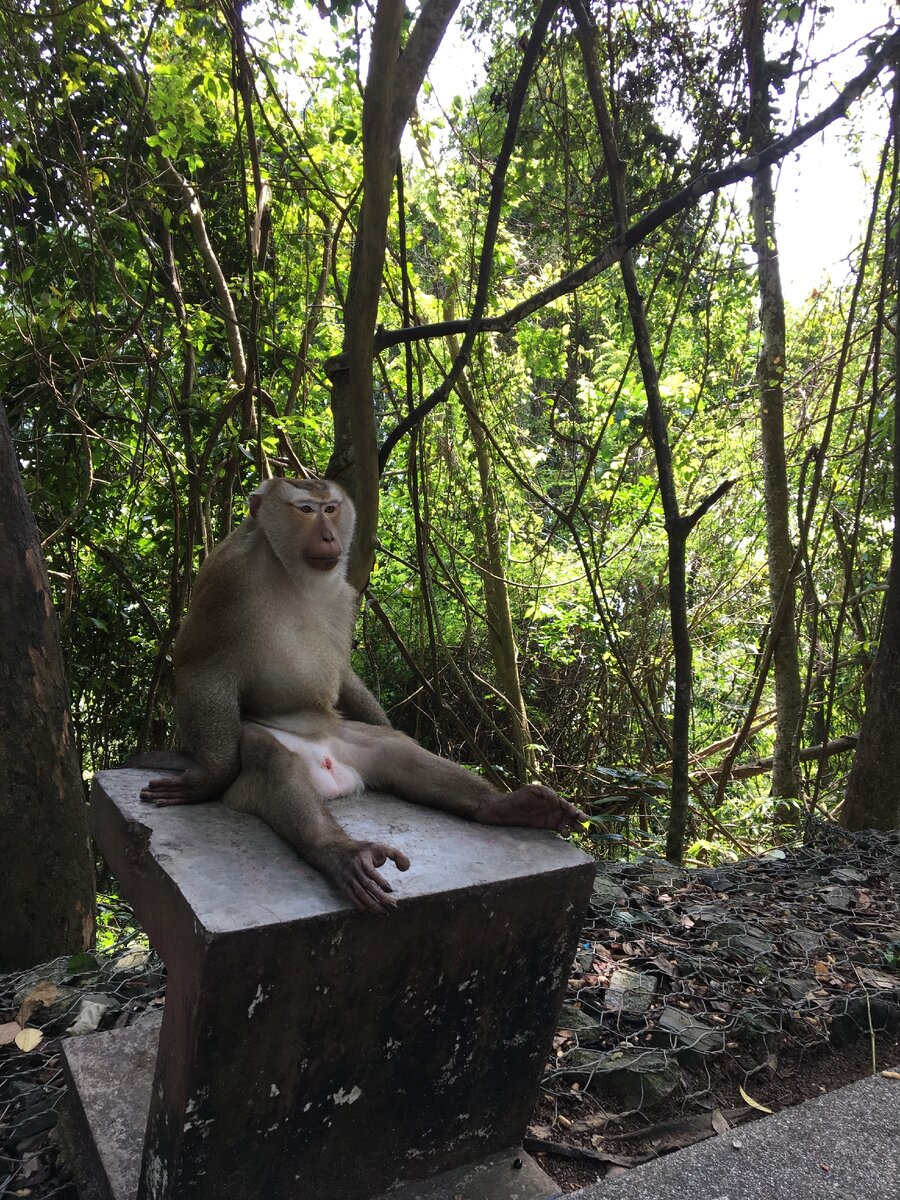 Старейшина сидит и следит зв порядком! Личное фото.