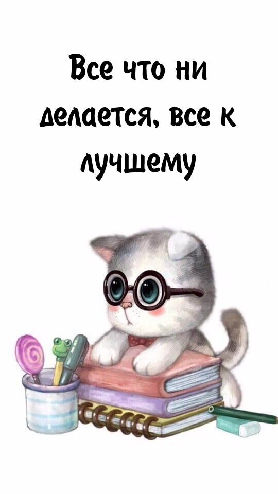 Мудрый Котя