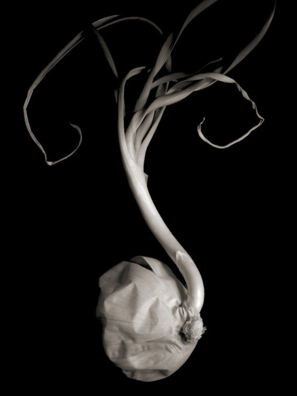 Источник: Яндекс.Картинки