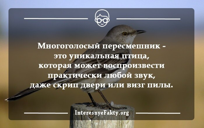 Каждую секунду в мире можно увидеть 100 молний. Самое интересное, что шаровые молнии не поддаются статистике, так как их природа до сих пор не изучена.