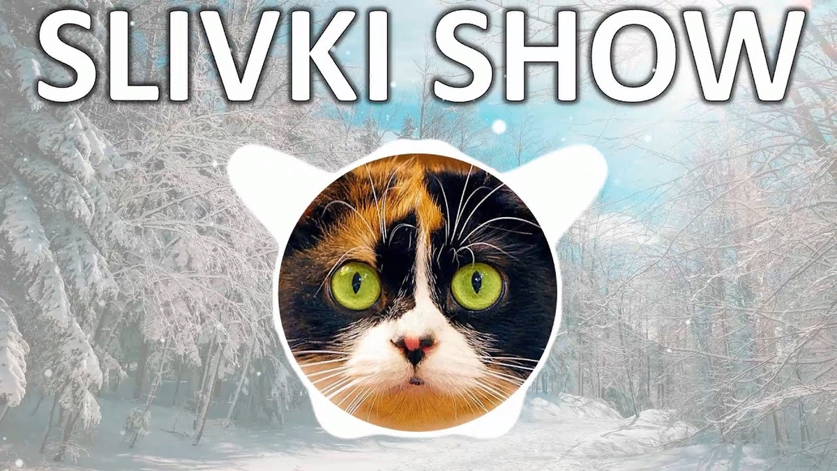 Канал cookies. Сливки шоу. Кот сливки шоу. Куки сливки шоу. Куки кот сливки шоу.