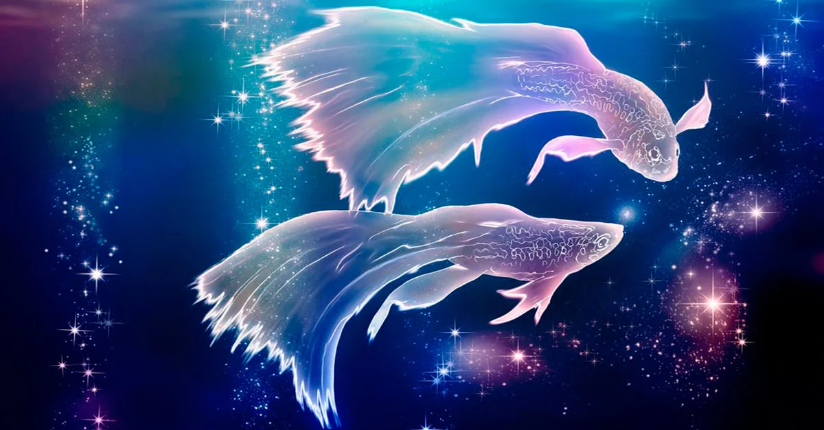 Фотография взята из открытого источника