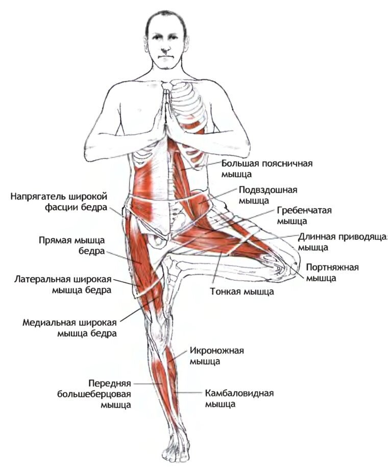 С чего начинается хатха-йога? Основы и принципы