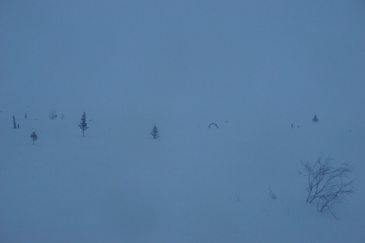 Вид из окна поезда