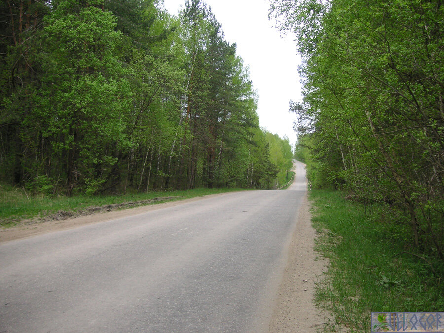 дорога (2 фотографии)