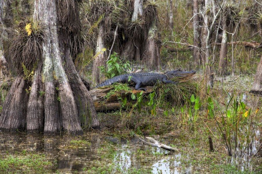 Фотография 2019 года 23 июня