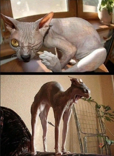 Тогда только поймешь что страшнее...