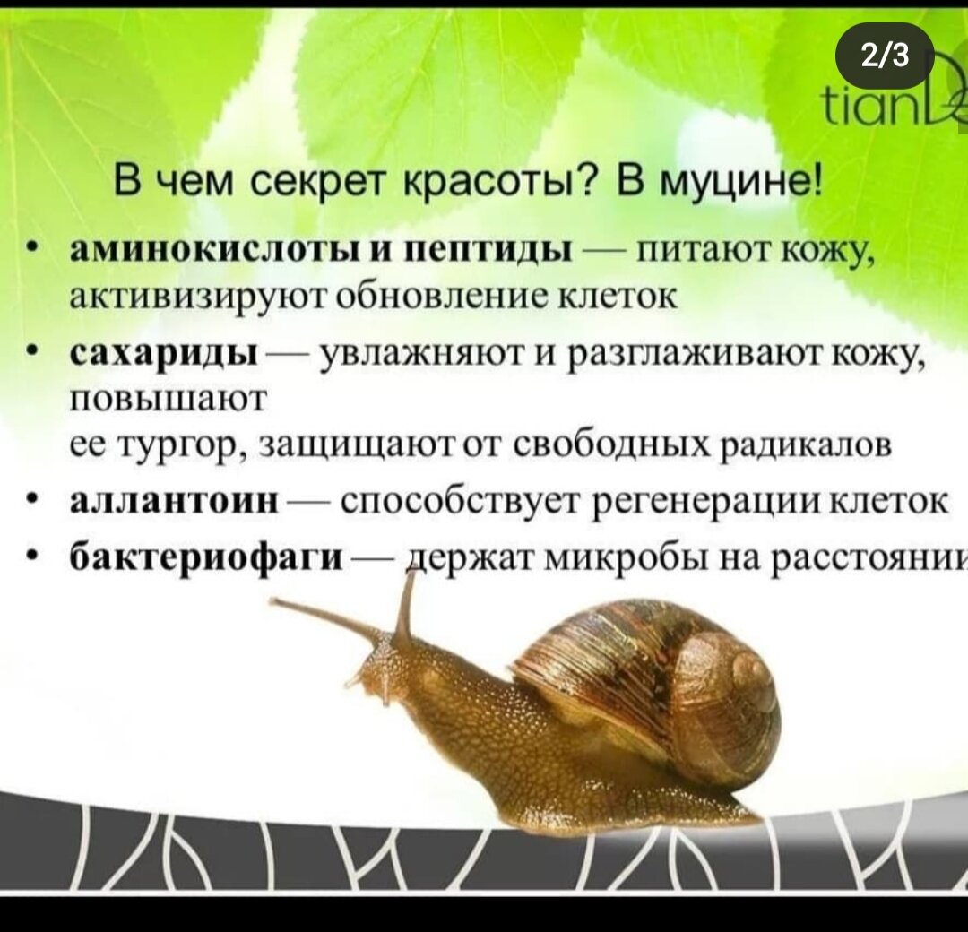 Слизьььь🐌 | Кореанский маман😂 | Дзен