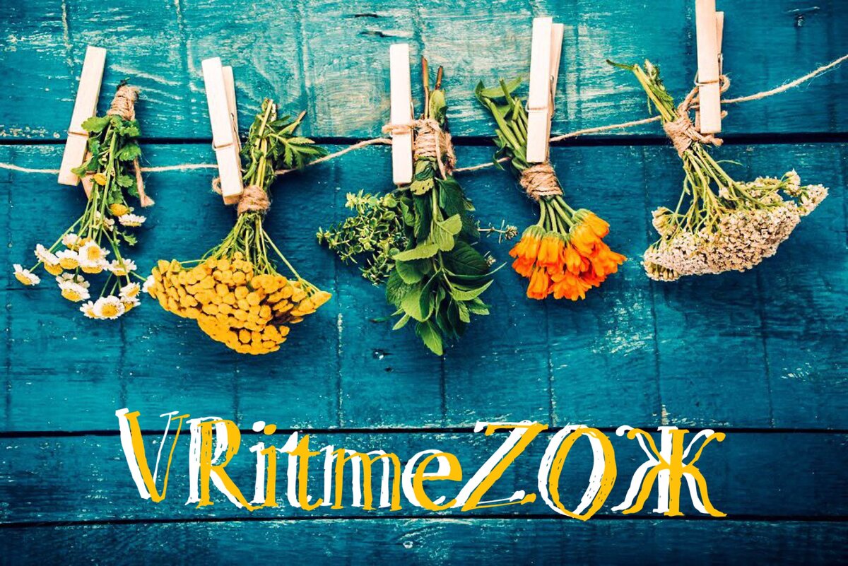 Друзья, поддержите канал! Комментируйте статьи, ставьте лайки и подписывайтесь!