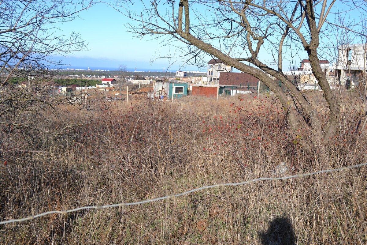 Фото из личного архива