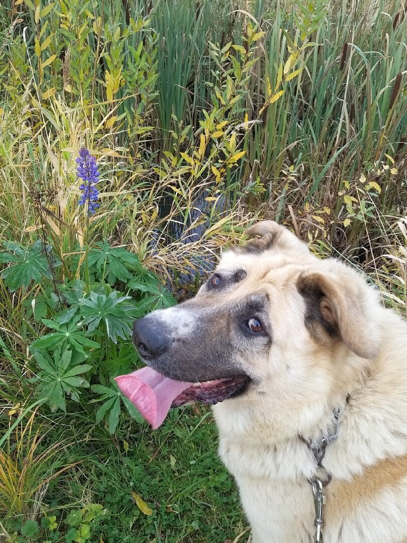 *                                                                                                 Фото автора стати