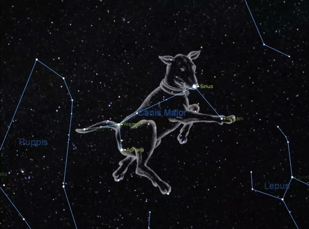 Яркая звезда в созвездии большого пса. Созвездие большого пса звезды. Созвездие большого пса Сириус. Canis Major Созвездие. Созвездие большой пес схема.