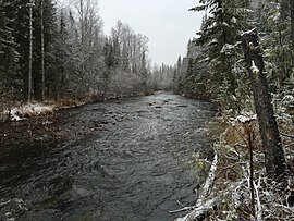 Река Ауспия, вдоль русла которой продвигались туристы