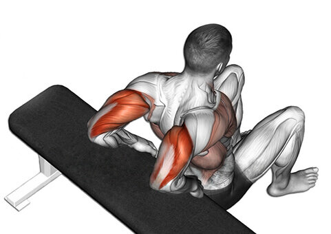 Обратные отжимания. Отжимания обратным хватом от скамьи. Отжимания от скамьи на трицепс. Обратные отжимания мышцы.