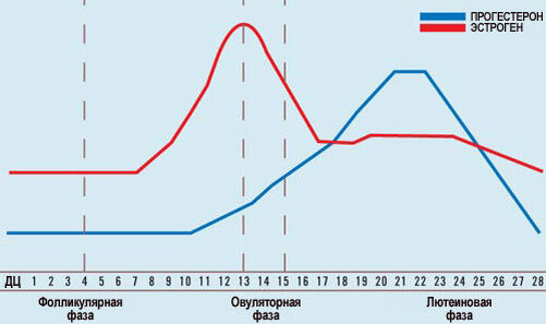 Зависимость уровня прогестерона от фазы