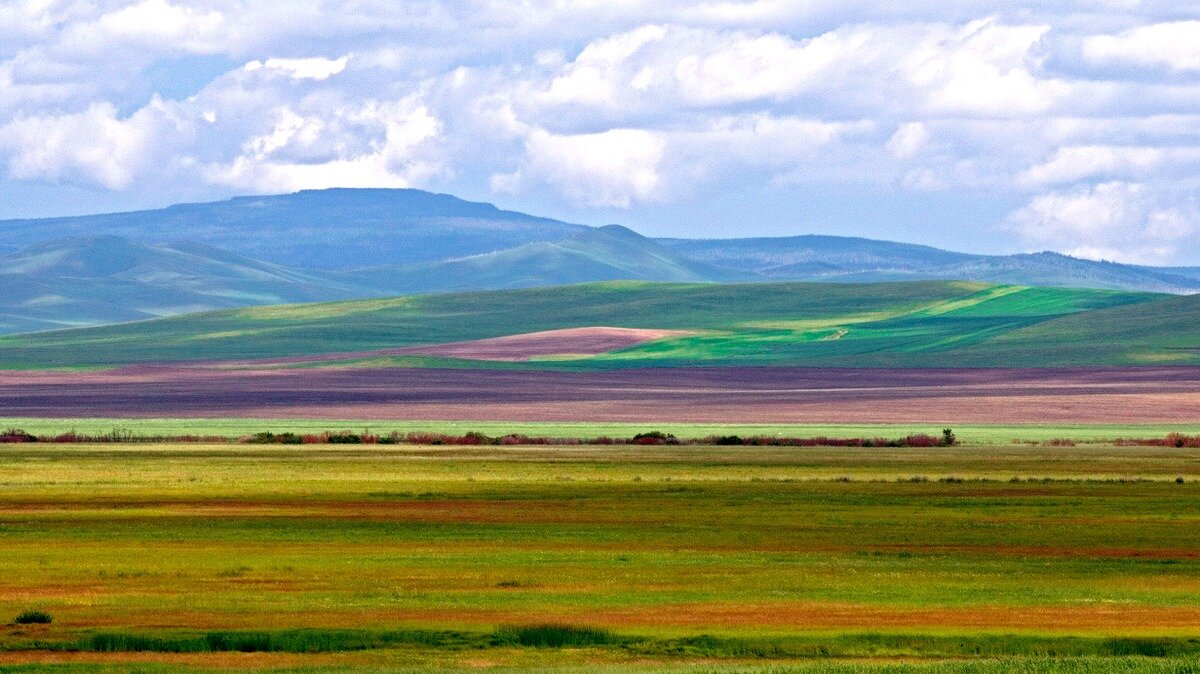 Степная зона Забайкальского края