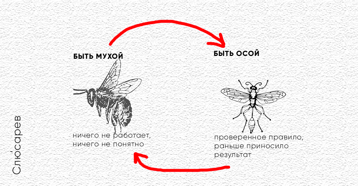 Реакция мухи