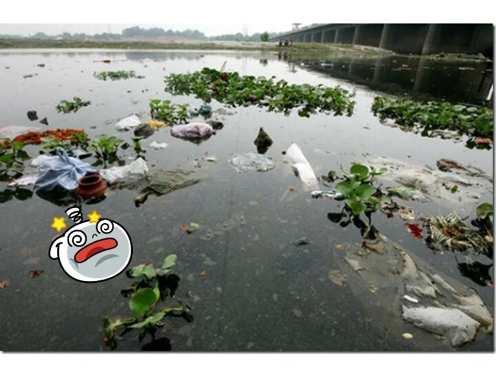 Мы все должны осознать - современное состояние рек это экологическая катастрофа национального масштаба.