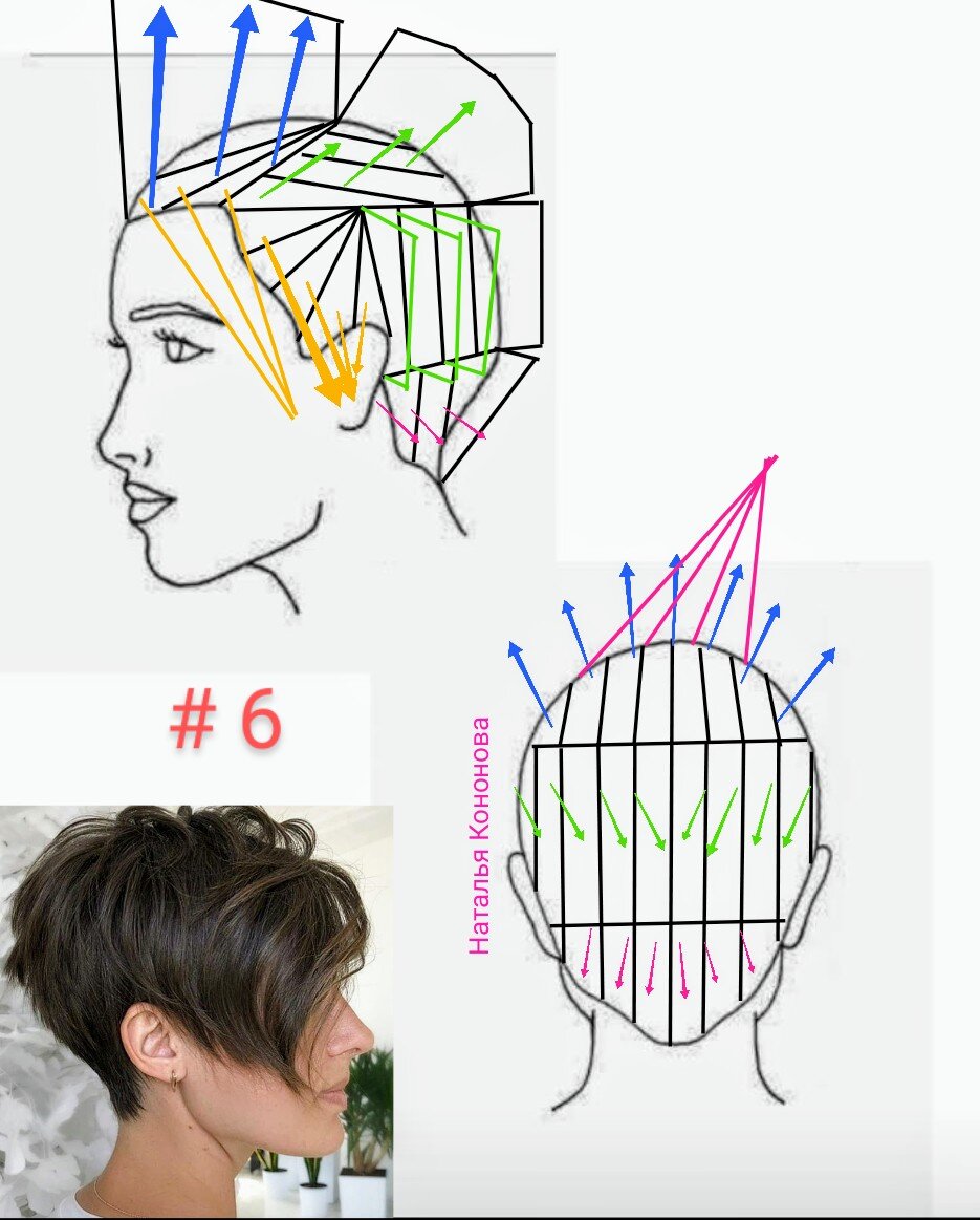 Короткая схема. Пикси стрижка схема стрижки. Схема стрижки Пикси с длинной челкой. Схема стрижки Пикси пошагово женская. Стрижка Пикси на короткие волосы схема стрижки.