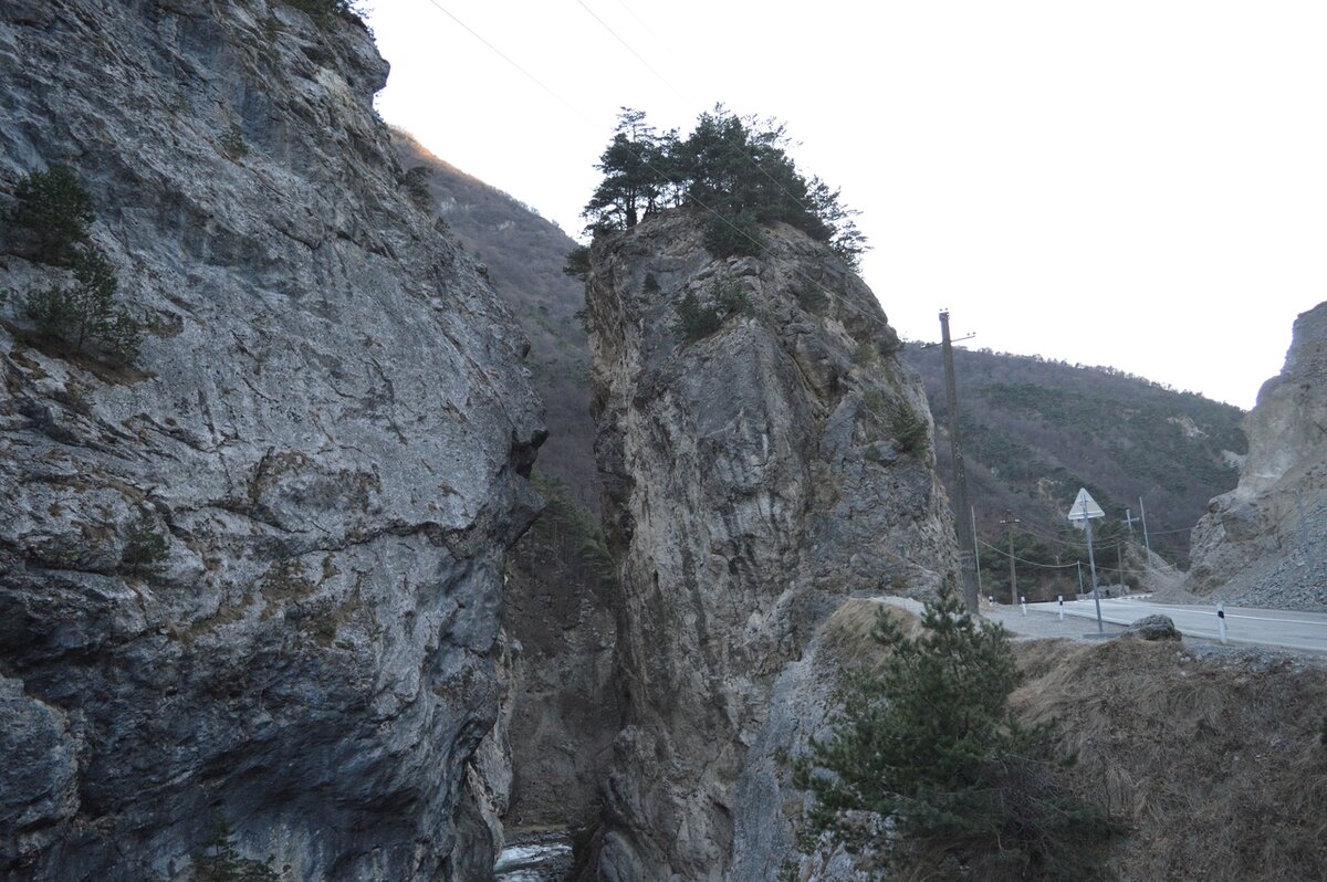 © МИР В ОБЪЕКТИВЕ/ СЕ ЧЕЛОВЕК