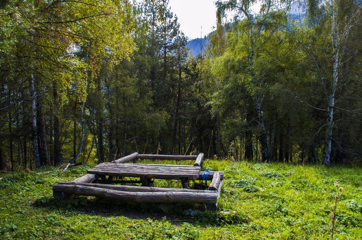 Случайно наткнулся на тихую, скрытую глубоко в лесу полянку. Идеально для пикника, или чтения книги под звуки природы.