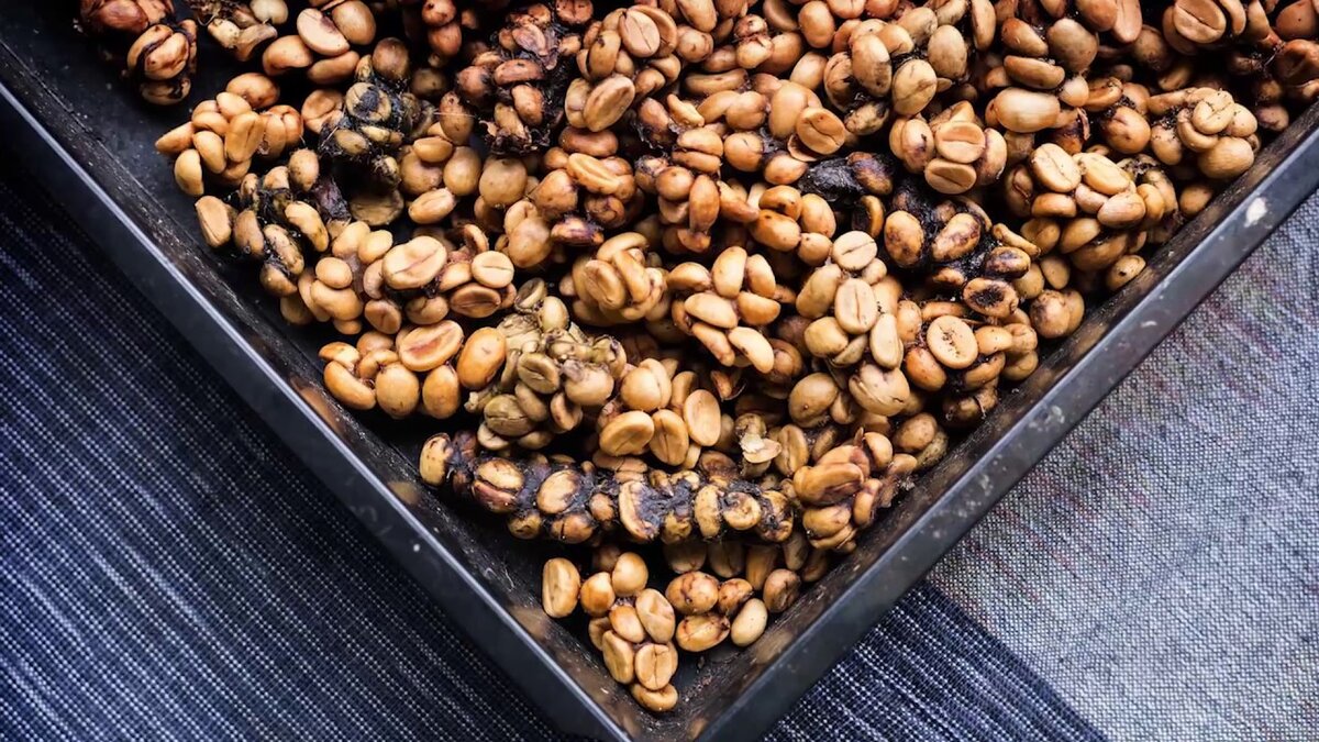 Напиток-Kopi Luwak