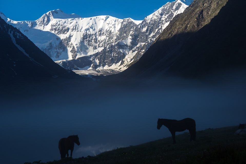 Фото Антон Анискин Белуха