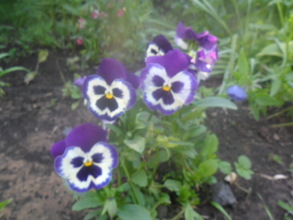 Фото автора.