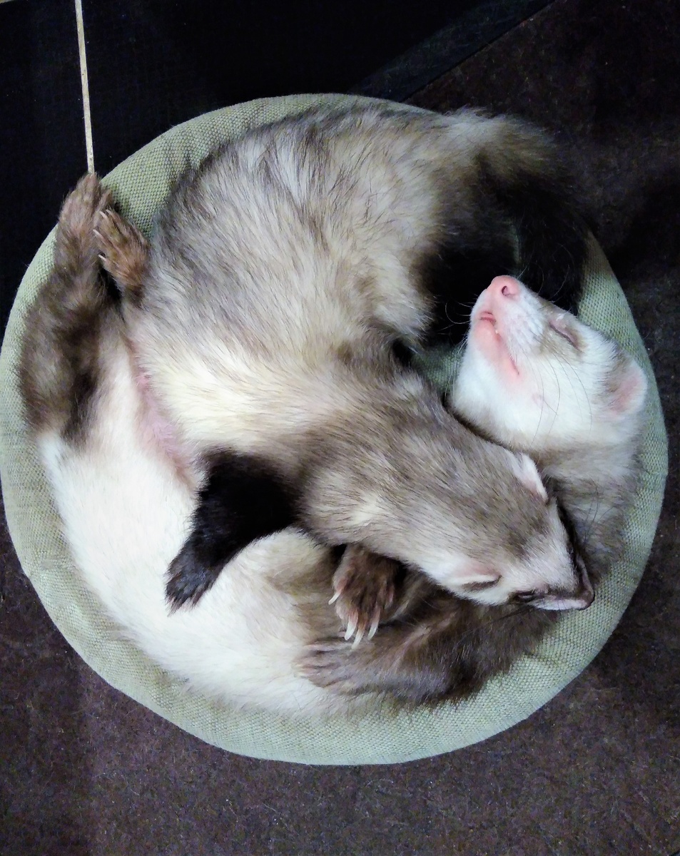 Фото из личного архива