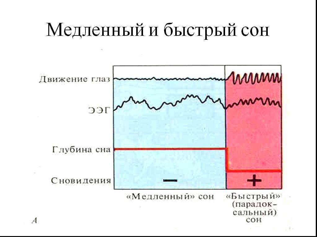 Медленный сон картинки