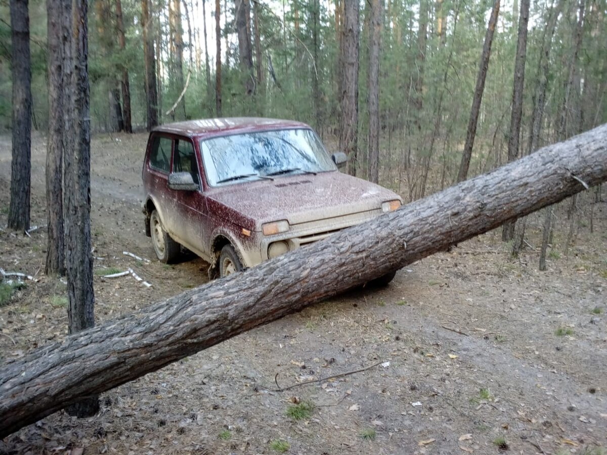 Естественный шлагбаум.