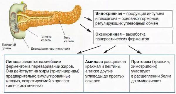 Источник фото: https://bigbentravel.ru