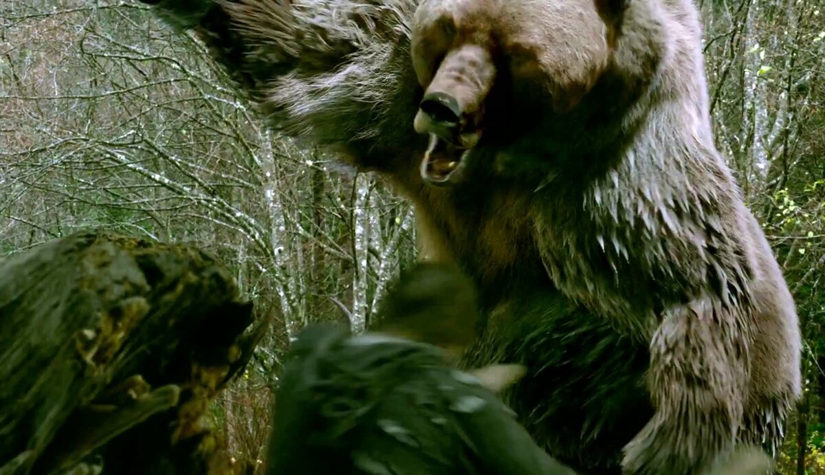 Ужасы про животных. Фильм Гризли 2015 медведь. Гризли Grizzly (2013).