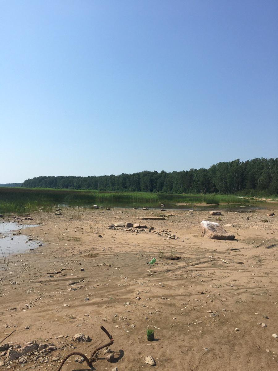 Залив Лисьй Нос