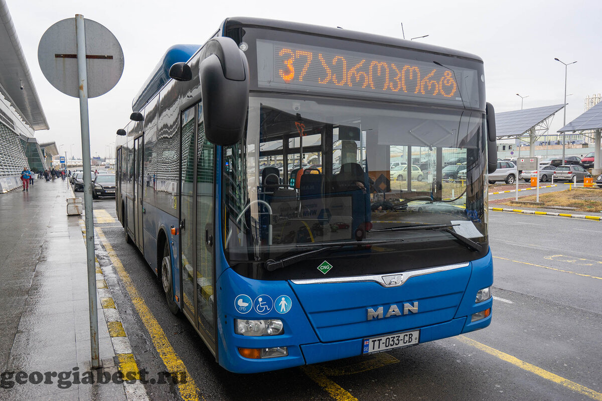 Самарканд автобус 37. Автобус 37 Тбилиси. 37 Автобус аэропорт Тбилиси. 337 Автобус Тбилиси.