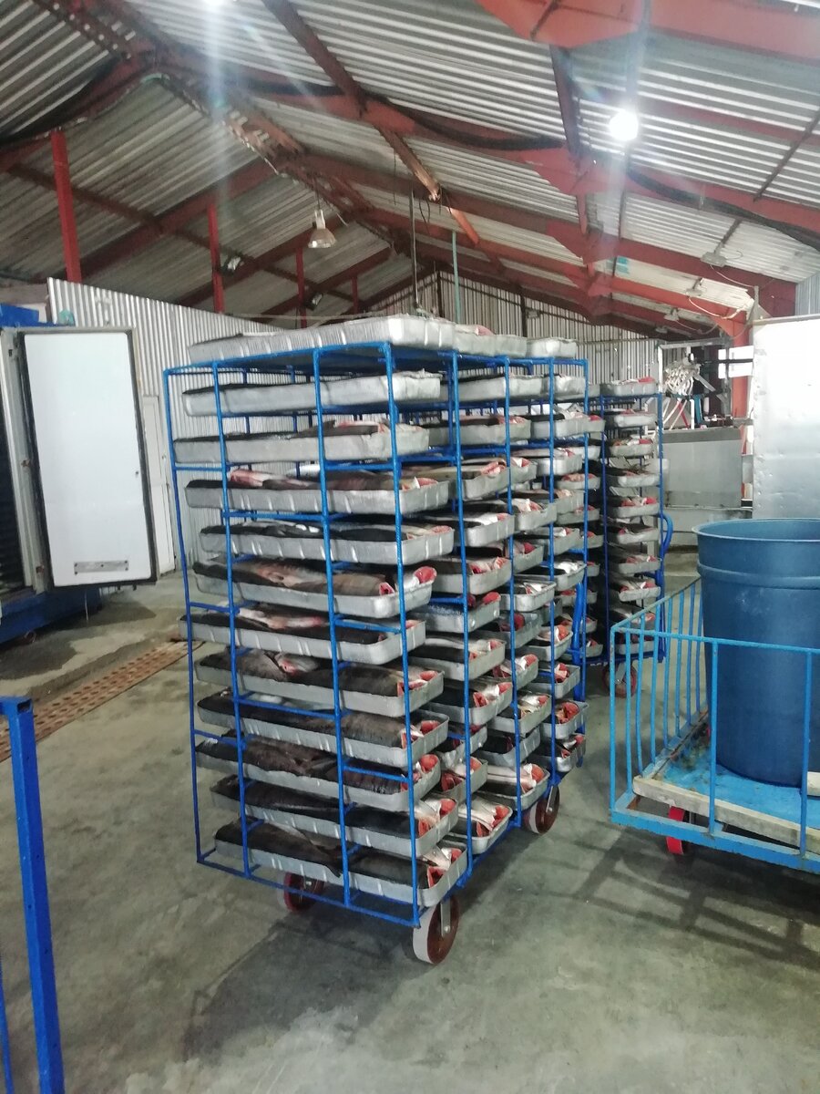 Так выглядит телега перед забивкой. Каждая телега +-400кг. Максимум за одну забивку пока что было 8 телег. 