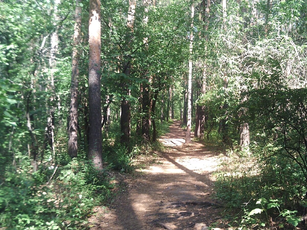 Екатеринбург Шарташский лесопарк.