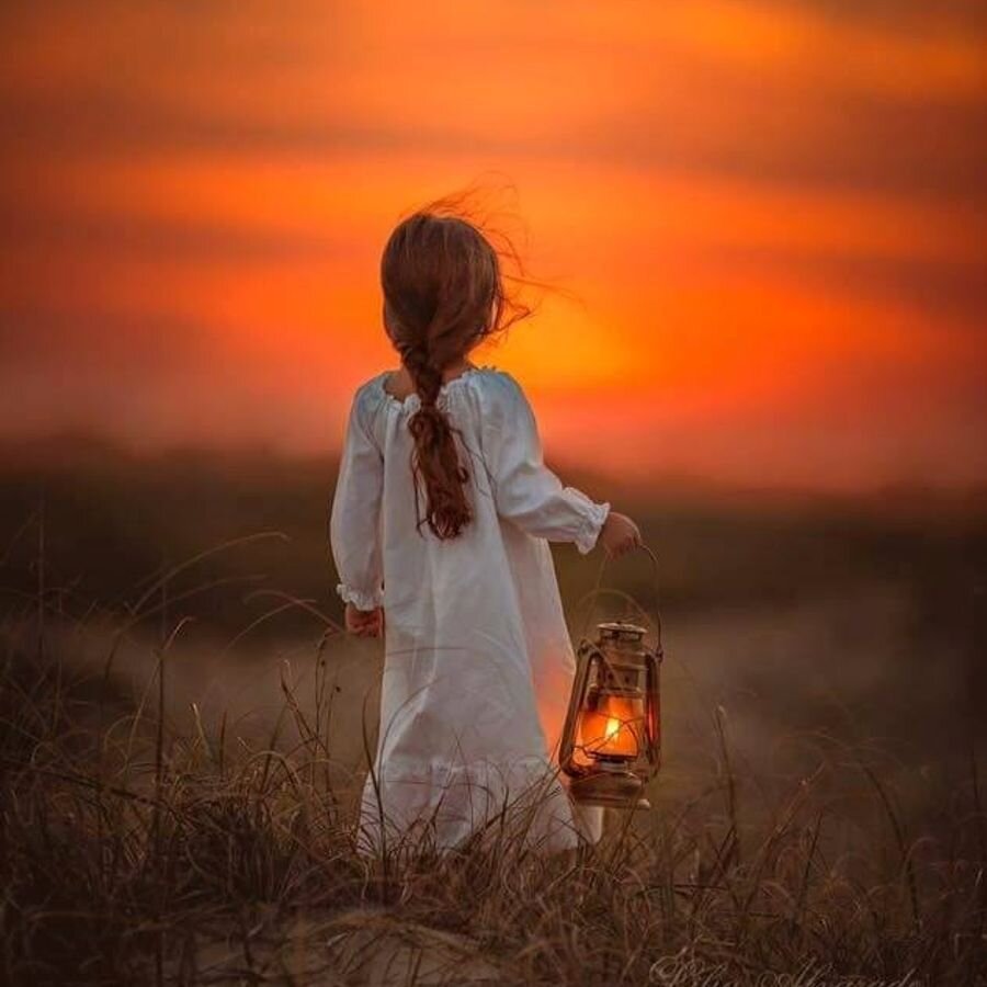 Все мы - странствующие путники на пути восхождения в духе