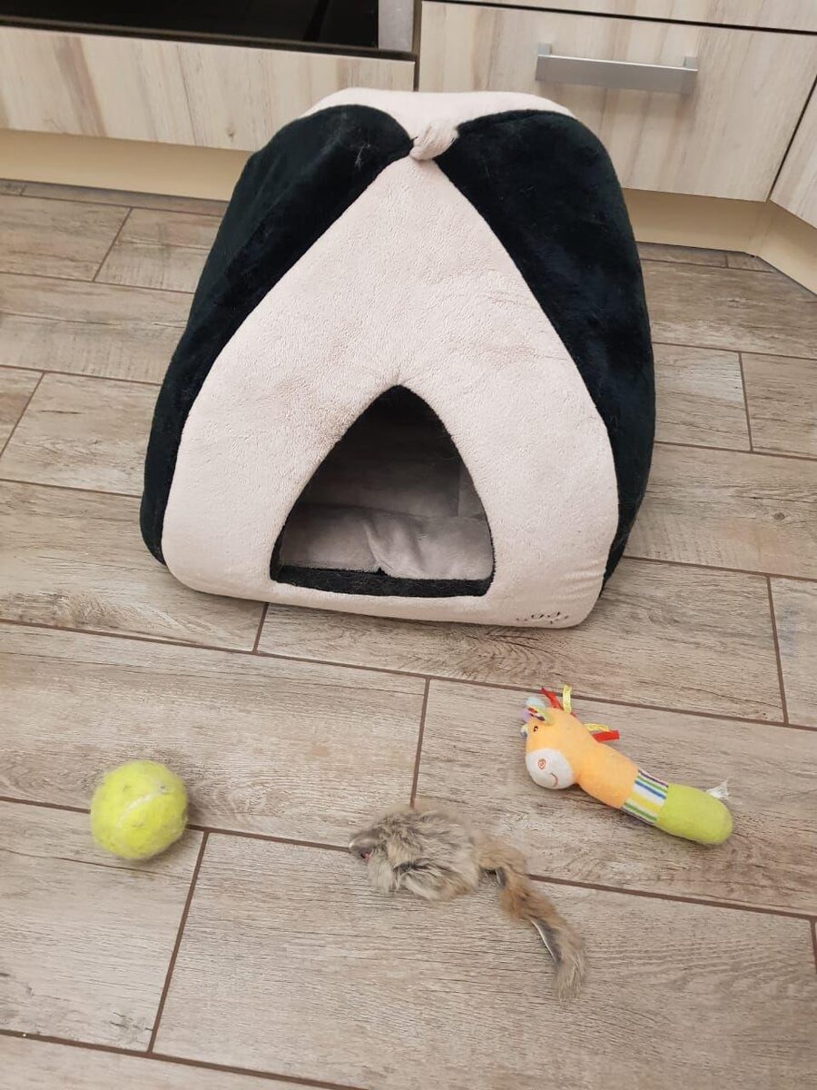 Личная сокровищница 