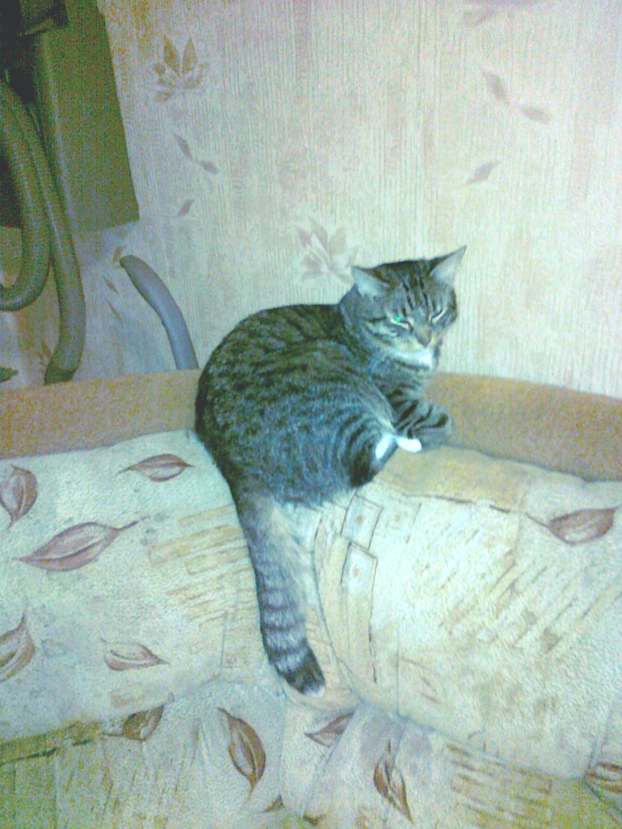 Тема дома на Севере