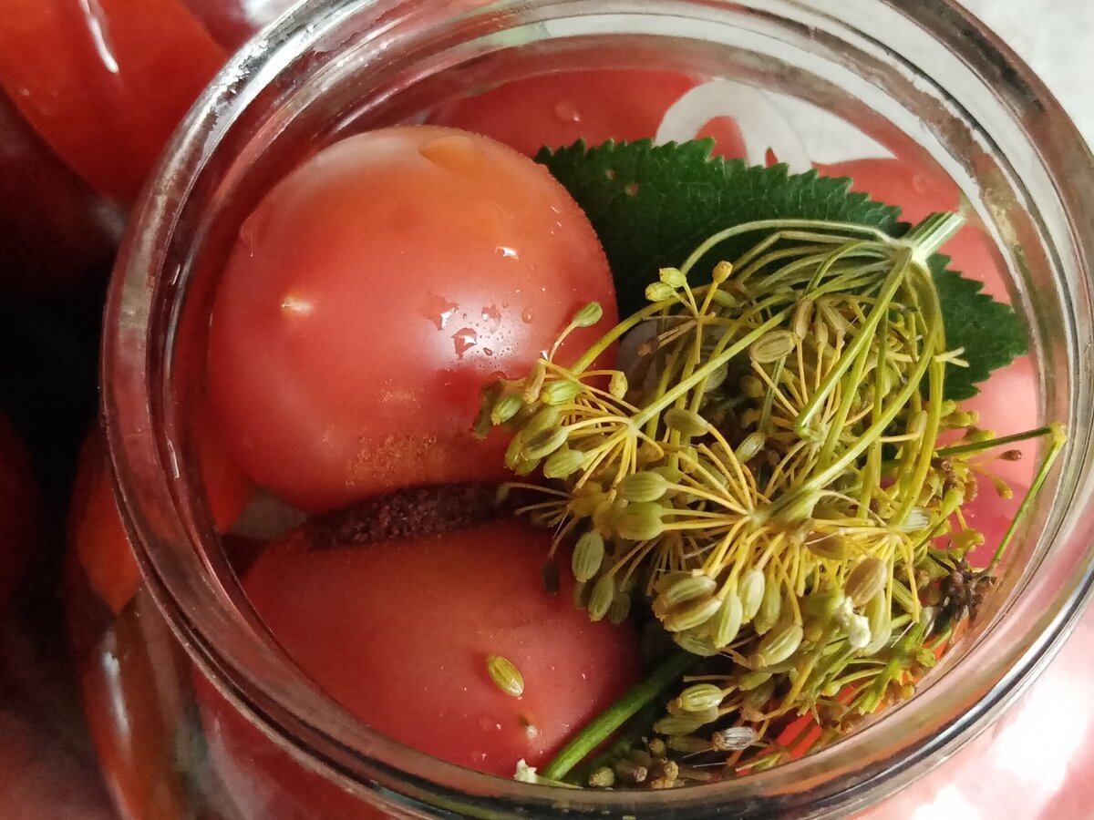 Приготовление помидоров на зиму.