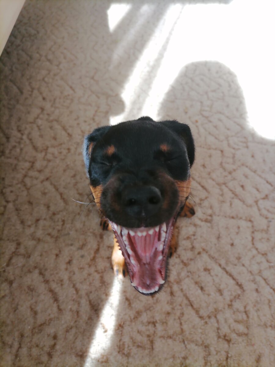 И это она просто улыбнулась....))) 